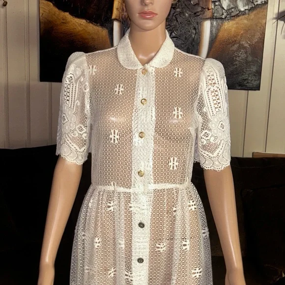 Vintage (1960’s) USA ~ Size 6 ~ Net Floral Lace Edwardian Embroidery Sexy Dress - Picture 7 of 16